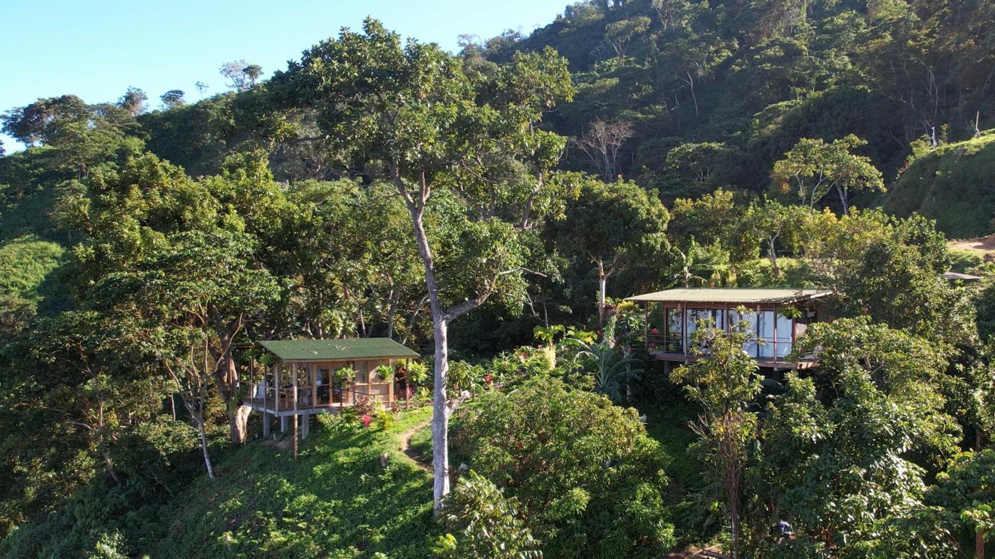 Minca Sintropia - Sustainable Lodge & Organic Coffee Finca Exterior foto