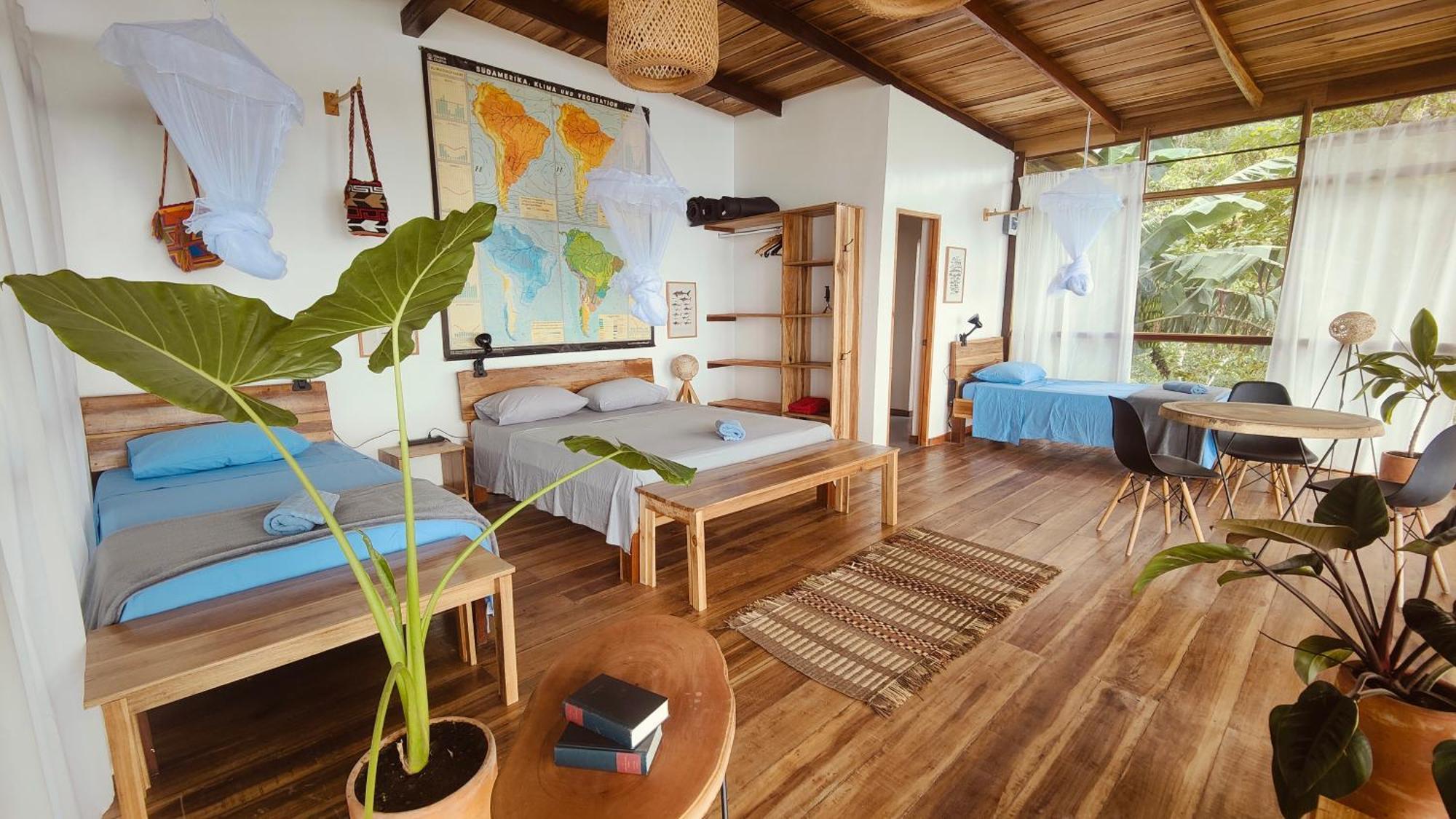 Minca Sintropia - Sustainable Lodge & Organic Coffee Finca Exterior foto