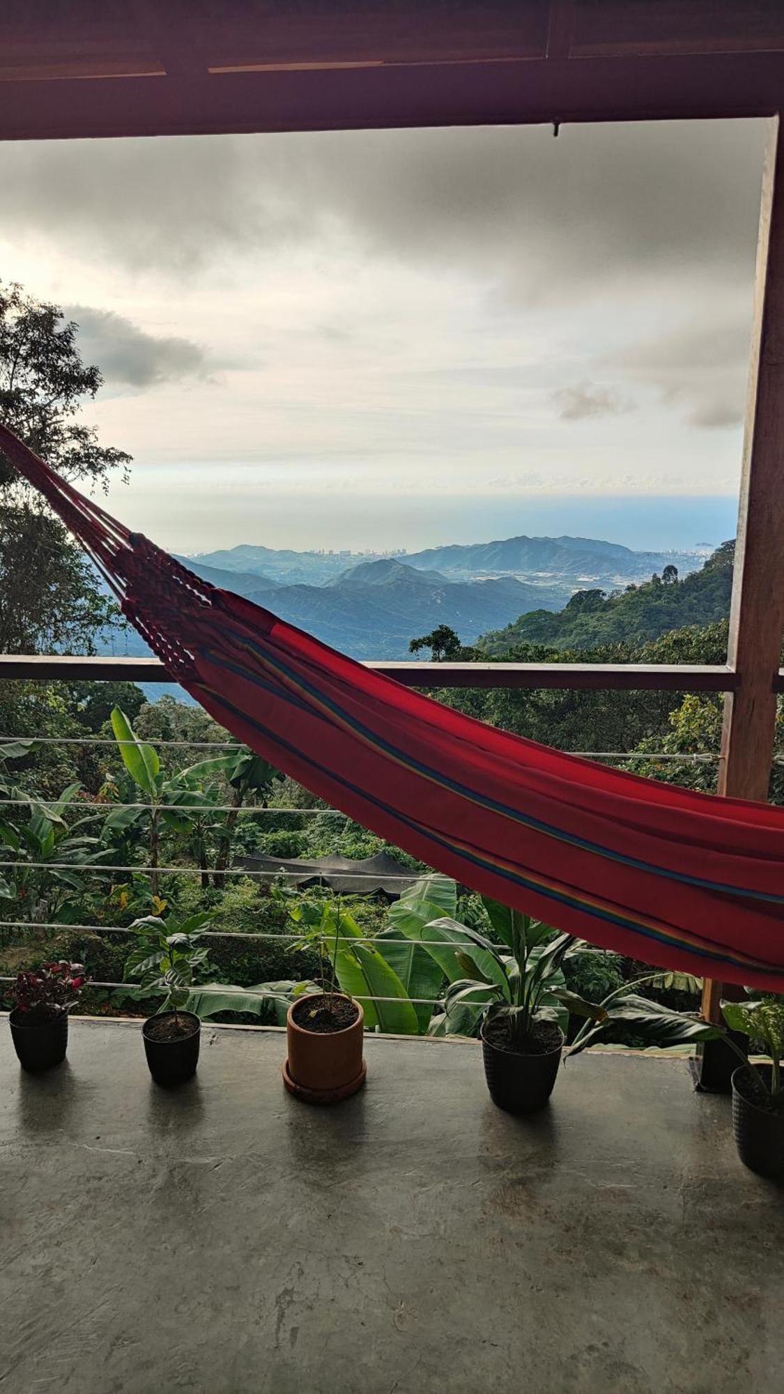 Minca Sintropia - Sustainable Lodge & Organic Coffee Finca Quarto foto