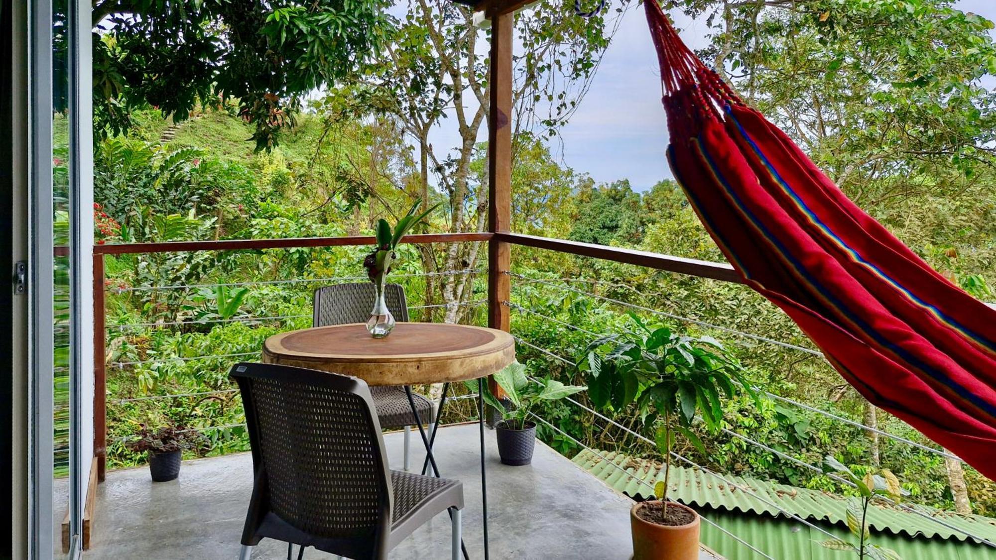 Minca Sintropia - Sustainable Lodge & Organic Coffee Finca Quarto foto