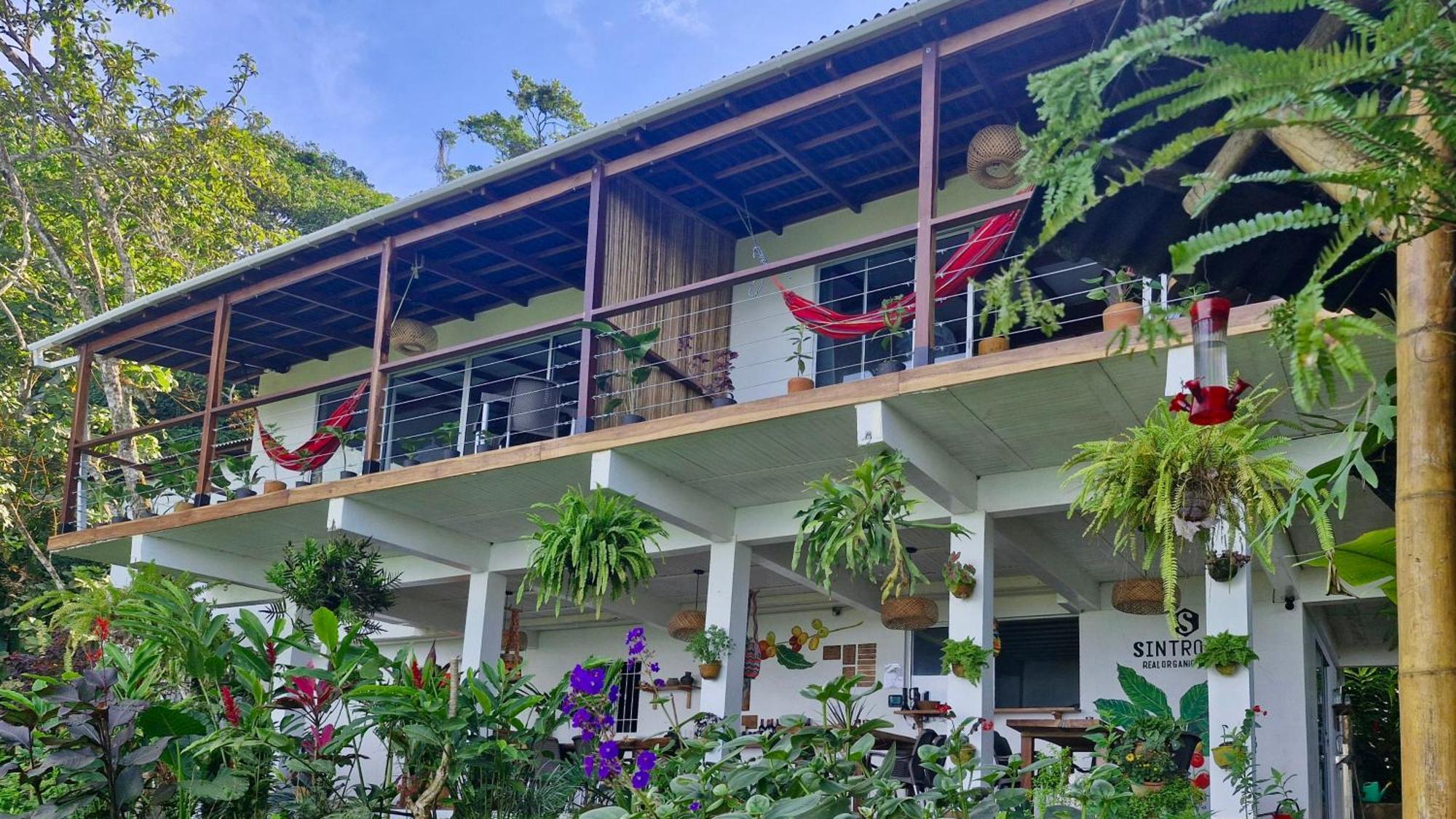 Minca Sintropia - Sustainable Lodge & Organic Coffee Finca Quarto foto